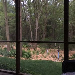 Meet your Posher, Barb